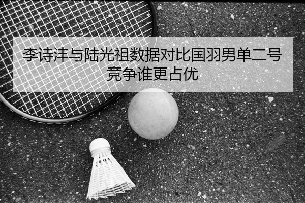 李诗沣与陆光祖数据对比国羽男单二号竞争谁更占优
